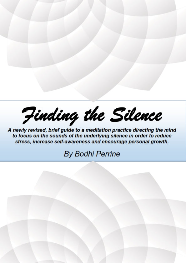 Finding The Silence: Revised